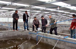 科技賦能 生態融合 重慶長壽工廠化養魚模式對涪陵漁業發展的啟示