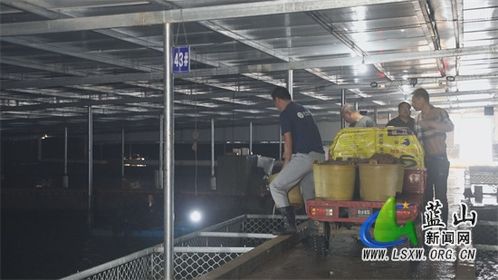 藍山縣 工廠化鰻魚養(yǎng)殖，新型產(chǎn)業(yè)助力水產(chǎn)品養(yǎng)殖發(fā)展