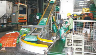 銷量再創新高，躍居順德膨化料單廠第二——健康飼料專家戰略布局引領水產品養殖新篇章