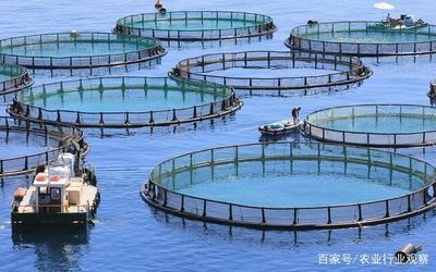 水產(chǎn)養(yǎng)殖迎來大考 國家定調(diào)綠色養(yǎng)殖，水產(chǎn)品養(yǎng)殖業(yè)轉(zhuǎn)型升級