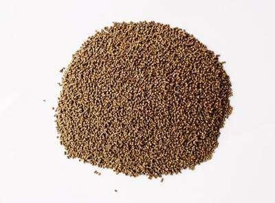 實施五大行動，引領水產綠色健康養殖，加速產業轉型升級