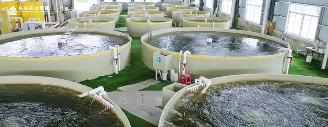 生生農業集團 打造全產業鏈閉環，實現水產養殖與全鏈路的深度賦能